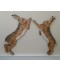 Hares "for the top of the stairs" Wooden Wall Plaques